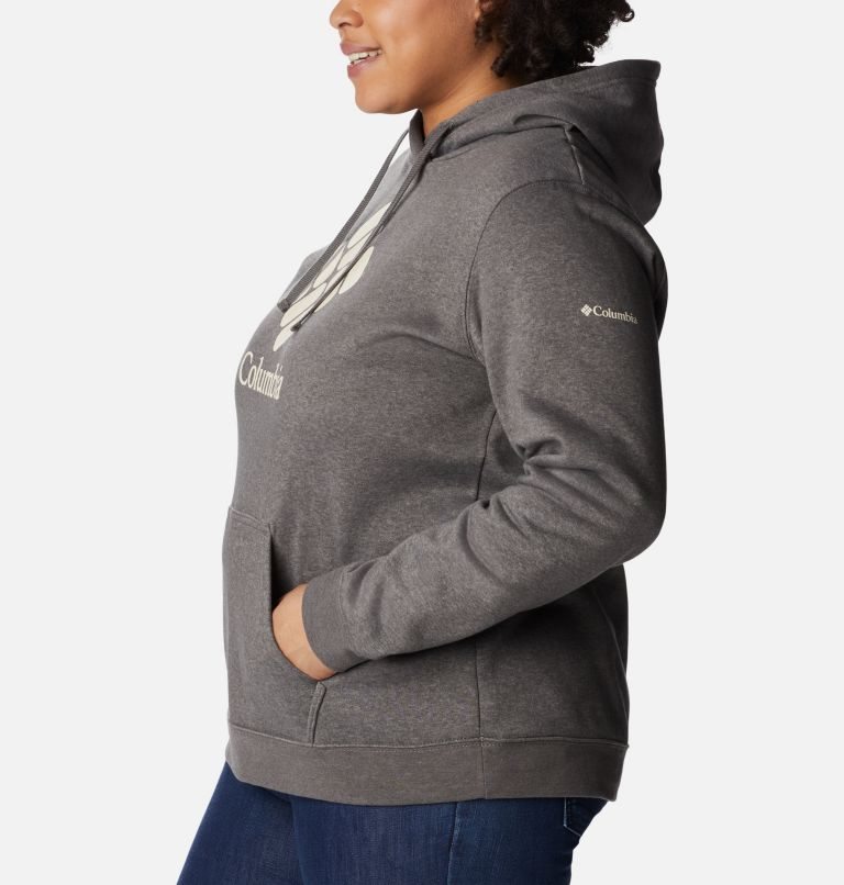 Women's Columbia Trek Graphic Hoodie Dark Grey | Plus Size CA-VL40C